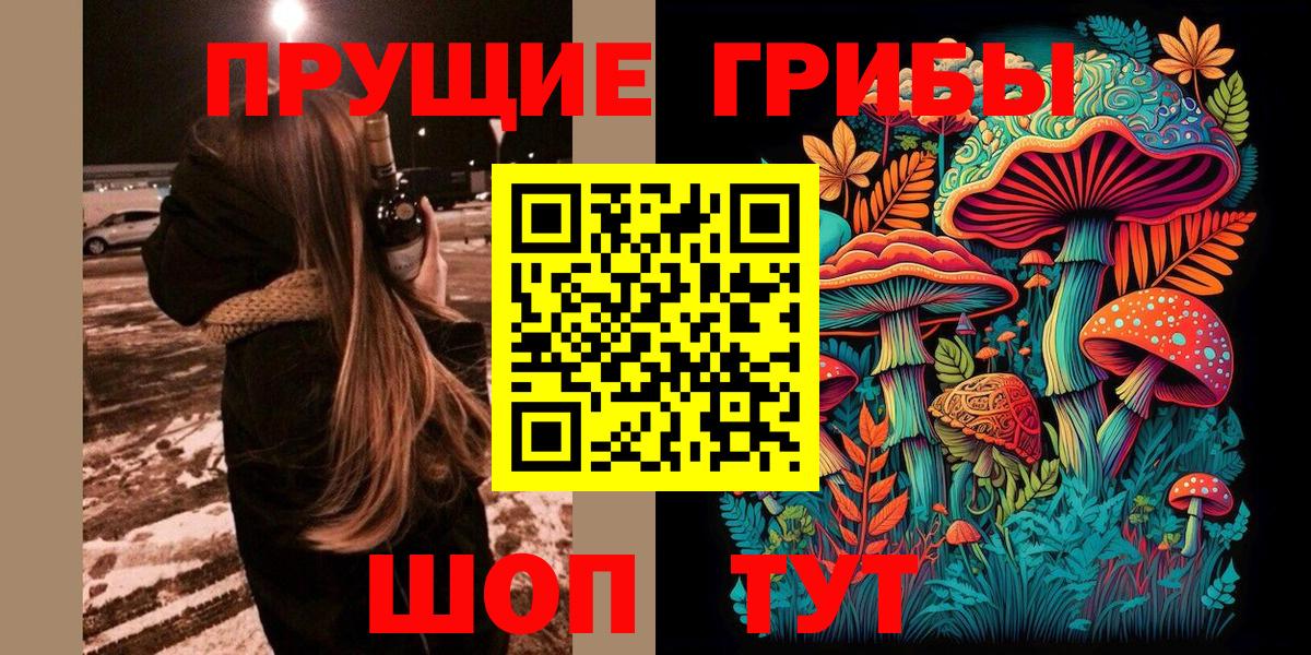 Приморско-Ахтарск  Галлюциногенные грибы Cubensis  Вход с VPN 